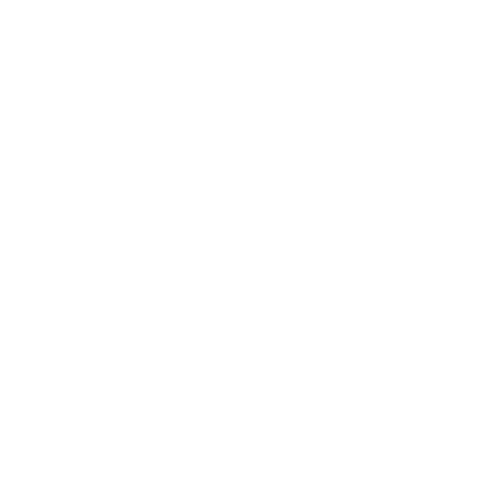 Pegasus_Logo_NEU-2024